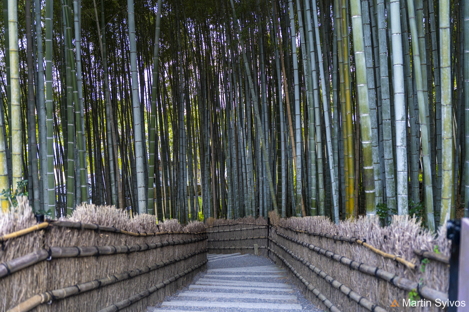 2025 Japon martin sylvos 37